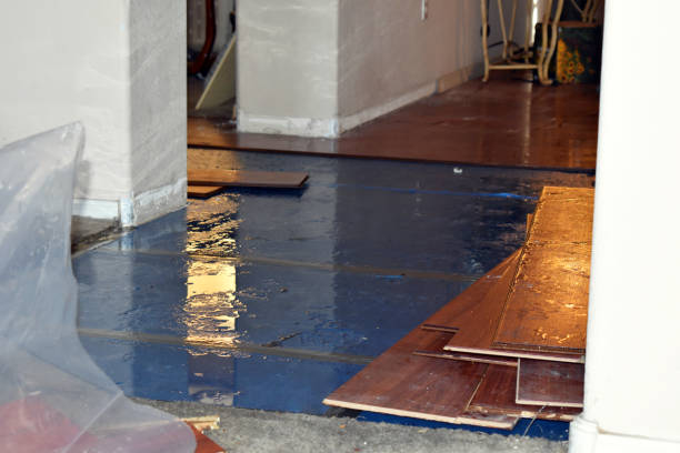Professional Water Damage Restoration technician working in Briggs, TX